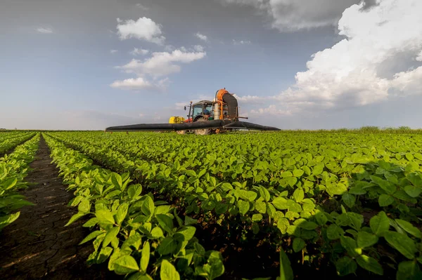 Pesticidas pulverizadores em campos de soja — Fotografia de Stock