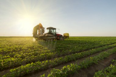 Soya fasulyesi tarlalarında böcek ilacı sıkmak.