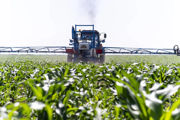 Traktor permetező peszticidek kukoricaföldeken — Stock Fotó
