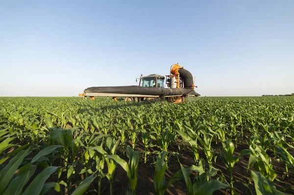 Pulvérisation de pesticides par tracteur dans les champs de maïs — Photo