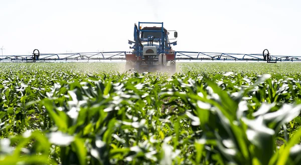 Tractor spraying pesticides at corn fields — Stock Photo, Image