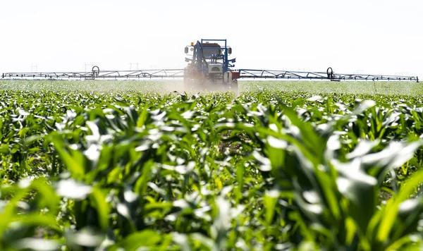 Trator de pulverização de pesticidas em campos de milho — Fotografia de Stock