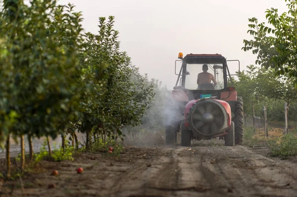 Meyve bahçesindeki ağaçları ölülere karşı püskürtmek