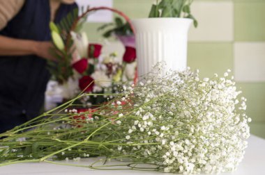Gypthe ile Paniculata çift beyaz. Çiçekçi işyeri. 