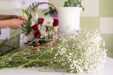 Gypthe ile Paniculata çift beyaz. Çiçekçi işyeri. 