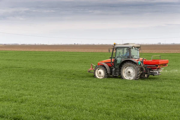 Trator Espalhando Fertilizantes Artificiais Transportes Agricultura — Fotografia de Stock