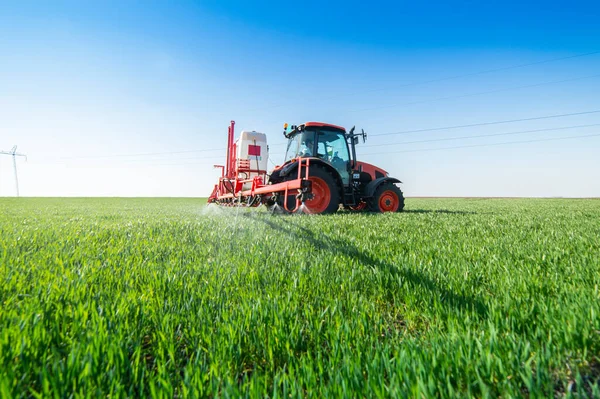 Traktor Penyemprotan Gandum Musim Semi Lapangan — Stok Foto