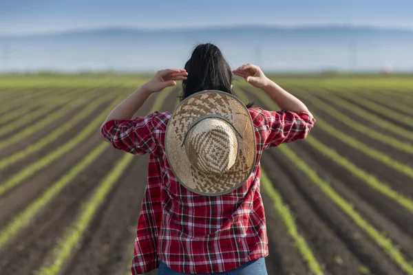 Petani Perempuan Muda Perkebunan Jagung Para Peneliti Memeriksa Ladang Jagung — Stok Foto