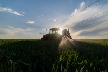İlkbaharda tarlada buğday püskürten traktör