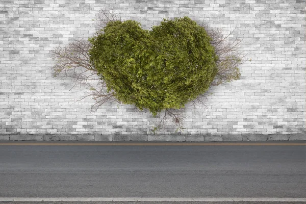 Hojas corazón Fondo de la antigua pared de ladrillo blanco vintage en el camino —  Fotos de Stock