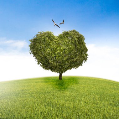 kalp, Sevgiliye arka plan şeklinde ağaç