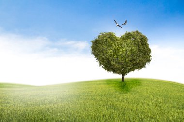 kalp, Sevgiliye arka plan şeklinde ağaç