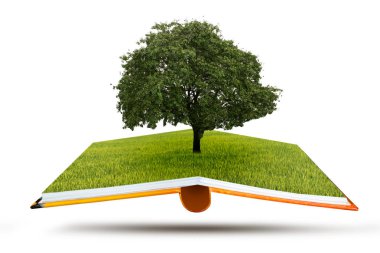 Açık kitap hayatını kavramı. Alanında büyük yalnız ağaç. Hayat ağacı.