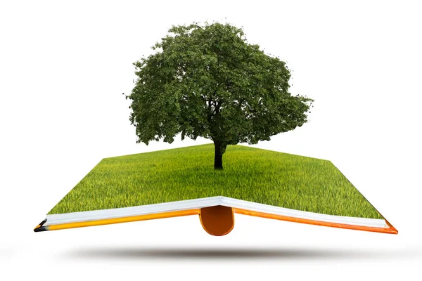 Open Book Concept Life Big Alone Tree Field Tree Life — Stock Photo, Image