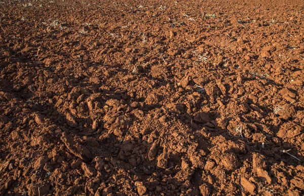 Geploegd Veld Oogst — Stockfoto