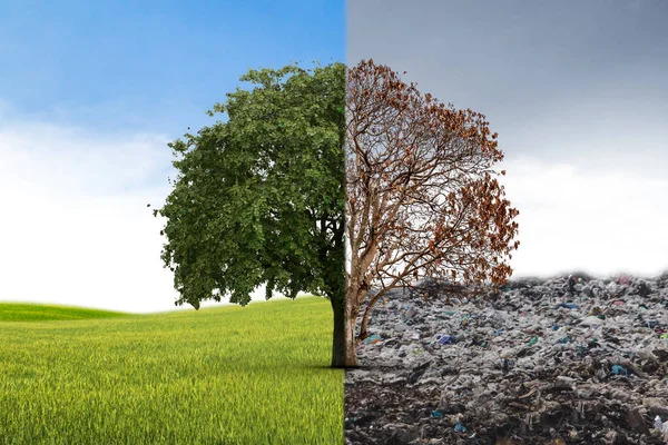 Concept Climate Has Changed Half Alive Half Garbage Tree Standing — Stock Photo, Image