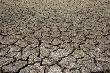 Çerçeveyi arka plan olarak dolduran kurumuş çatlak zemin