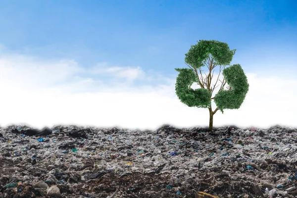 Concept recycle big alone tree in the garbage . Tree of life.