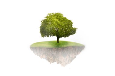 Ağaç kalpler için gökyüzünde askıya 