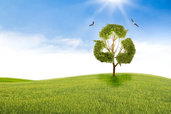 Begreppet återvinning av liv. Stor ensam träd i fältet. — Stockfoto