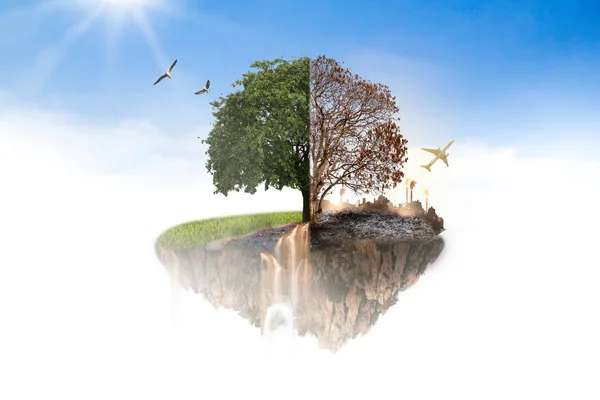 Island in the sky to the tree was burned to death in half and th — Stock Photo, Image