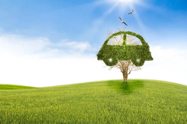 Konzeptauto Recycling des Lebens. Großer Baum allein auf dem Feld. — Stockfoto