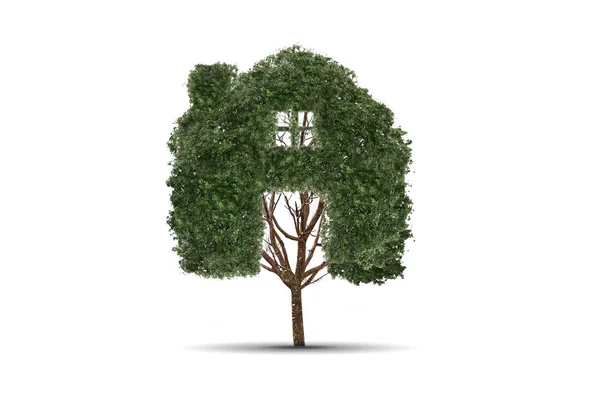 Konzept Heimat Recycling des Lebens. Großer Baum allein auf dem Feld — Stockfoto