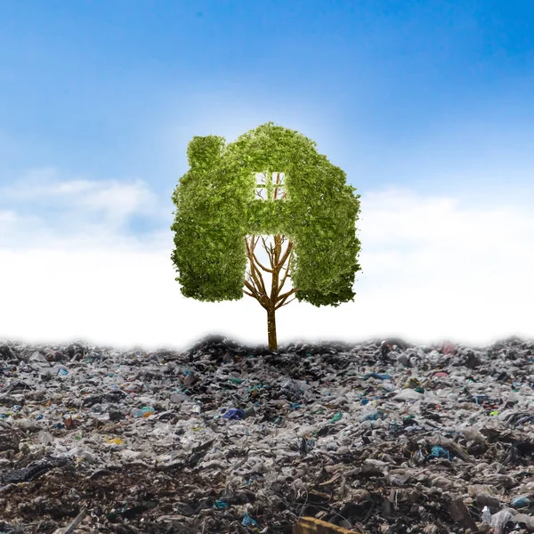 Έννοια ανακύκλωσης μεγάλο μόνο δέντρο στα σκουπίδια. Δέντρο της ζωής. — Φωτογραφία Αρχείου