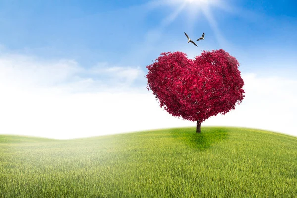 Kalp Sevgiliye Arka Plan Şeklinde Ağaç — Stok fotoğraf