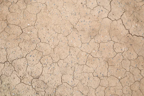 Soil Cracked Texture Background Ground — Stock Photo, Image
