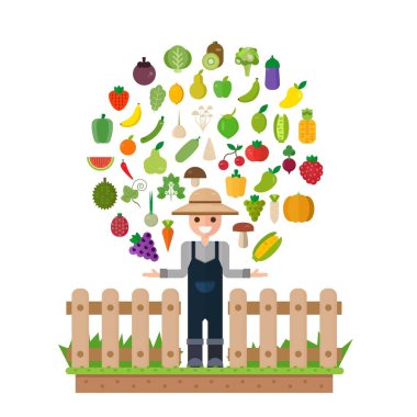 İzole sebze kümesi: meyve, sebze, organik. Düz vektör çizim set.