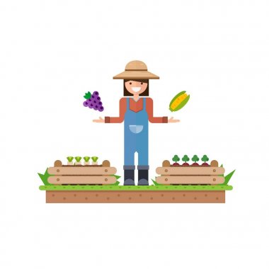 İzole sebze meyve, sebze, organik. Düz vektör çizim.