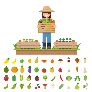 İzole sebze meyve, sebze, organik. Düz vektör çizim.