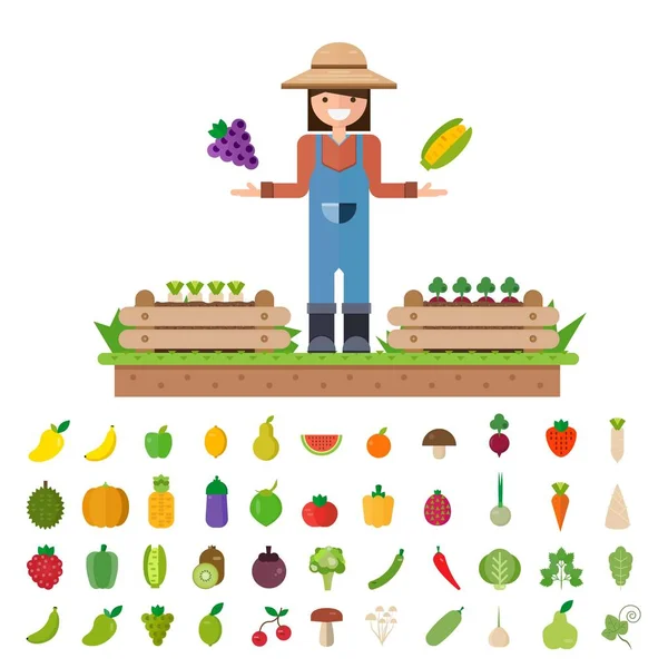 Białym Tle Warzywa Owoce Warzywa Organiczne Ilustracja Wektorowa Płaskie — Wektor stockowy