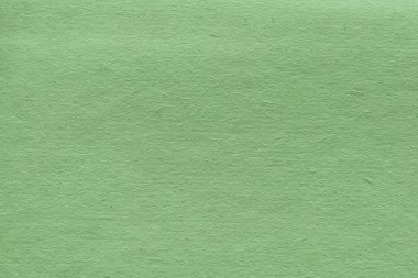 yeşil renkli kağıt dokusu arkaplanı