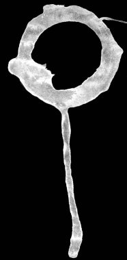 Kahve lekesi. Kirli bardak lekesi ya da kahve pulu. Grunge mürekkep çemberi.