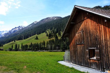 Lichtenstein köyde yaz aylarında