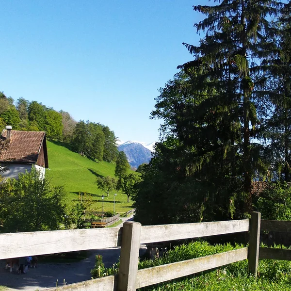 Krajina v regionu Heidiland Švýcarsko — Stock fotografie