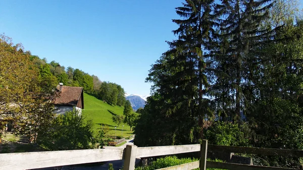 Landschaft in der Schweizer Heide — Stockfoto