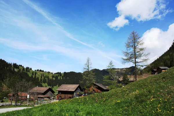 Obec v Lichtenštejnsku v létě — Stock fotografie