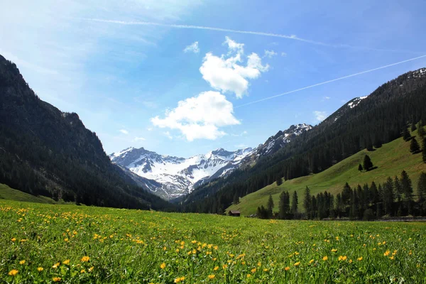 Landschaft mit Schweizer Alpen — Stockfoto