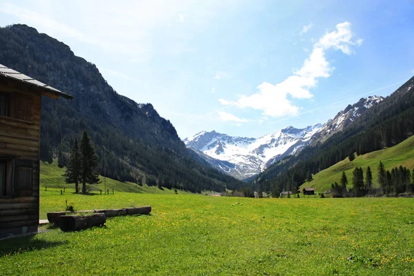 Paisaje con Alpes suizos — Foto de Stock