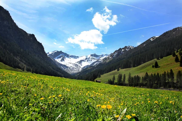 Paisaje con Alpes suizos —  Fotos de Stock