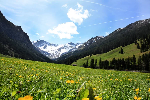 Paisaje en Lichtenstein —  Fotos de Stock