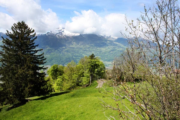 Пейзаж в Лихтенштейне — стоковое фото