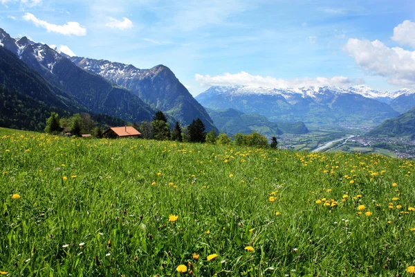 Landskape with Swiss Alps — Stock Photo, Image