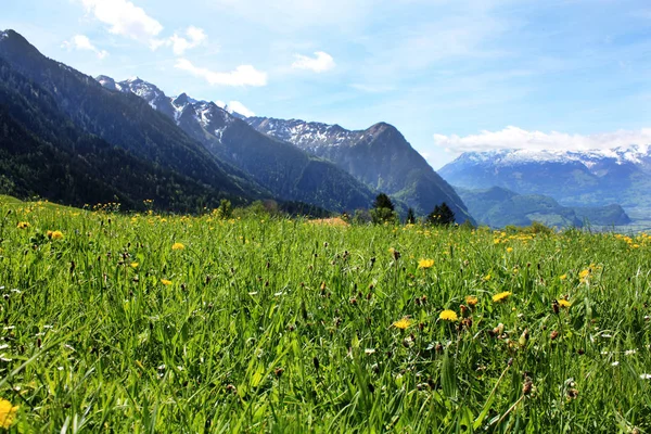 Landskape con Alpes suizos — Foto de Stock
