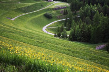 İsviçre Alpleri'nde bahar manzara. İsviçre. 