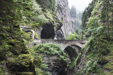 Alpler taşlar, dağlar nehir. İsviçre.