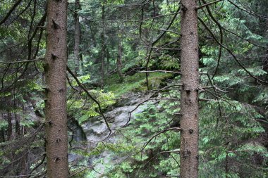 Alps Viamala İsviçre manzara 